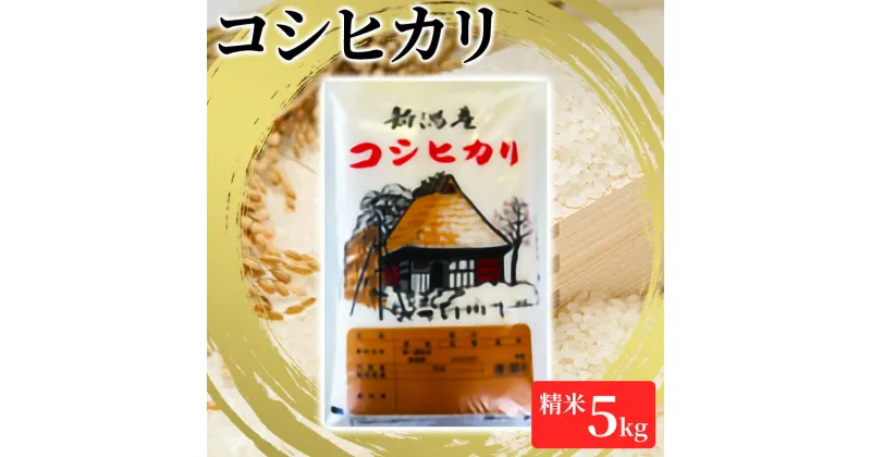 【ふるさと納税】【令和6年産】コシヒカリ精米5kg「従来品種」　 お米 ご飯 食卓 主食 おにぎり お弁当 国産 日本産 ブランド米 　お届け：2024年10月下旬～2025年2月末まで