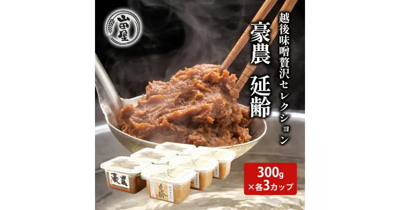 【ふるさと納税】越後味噌贅沢セレクション300g×各3カップ　 調味料 料理 調理 味付け 和食 日本食 みそ汁