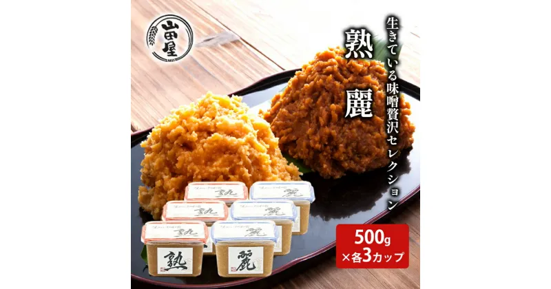 【ふるさと納税】生きている味噌贅沢セレクション500g×各3カップ　 調味料 料理 調理 味付け 和食 日本食 みそ汁