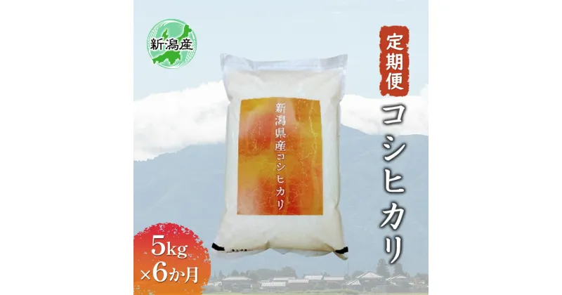 【ふるさと納税】新潟産コシヒカリ 5kg 全6回　定期便・お米・コシヒカリ