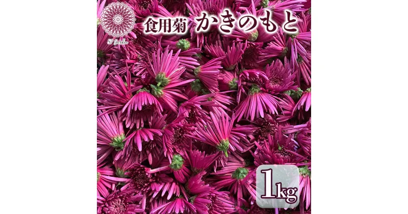 【ふるさと納税】かきのもと（食用菊）1kg　 野菜 苦みが少ない 旨味 香りが強い シャキシャキ食感 鮮やか 紫色 食用花 彩 食卓 華やか 　お届け：2024年10月中旬～12月中旬