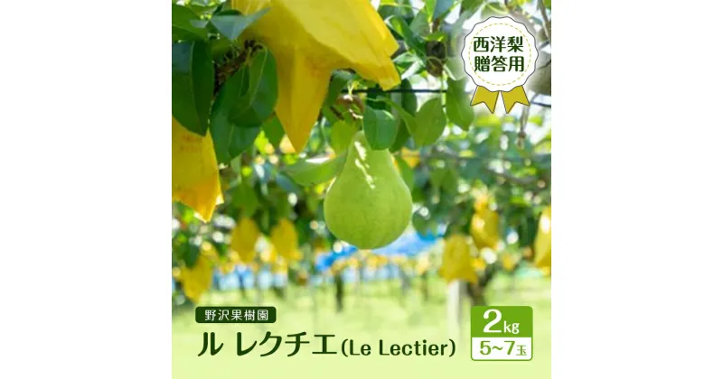 【ふるさと納税】野沢果樹園　ル レクチエ（Le Lectier）2kg 5～7玉　西洋梨　【贈答用】　お届け：2024年11月下旬～12月下旬