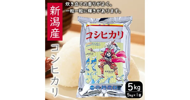 【ふるさと納税】こしひかり 新潟産コシヒカリ 5kg 米 お米 こめ コメ ごはん 新潟 米 白米 コシヒカリ ブランド米 銘柄米 お取り寄せ 産地直送　お米・コシヒカリ　お届け：寄附確認後、随時発送