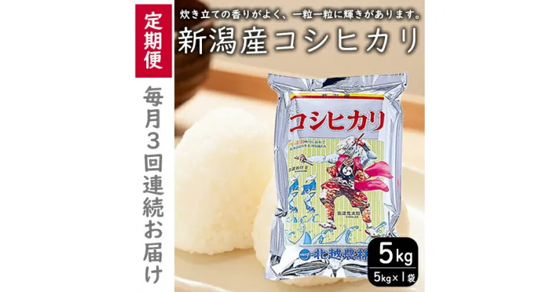 【ふるさと納税】こしひかり 新潟産 コシヒカリ 5kg 毎月3回 連続でお届けします。定期便 米 お米 こめ コメ ごはん 新潟 白米 コシヒカリ ブランド米 銘柄米 お取り寄せ 産地直送　定期便・お米・コシヒカリ　お届け：寄附入金月の翌月から発送