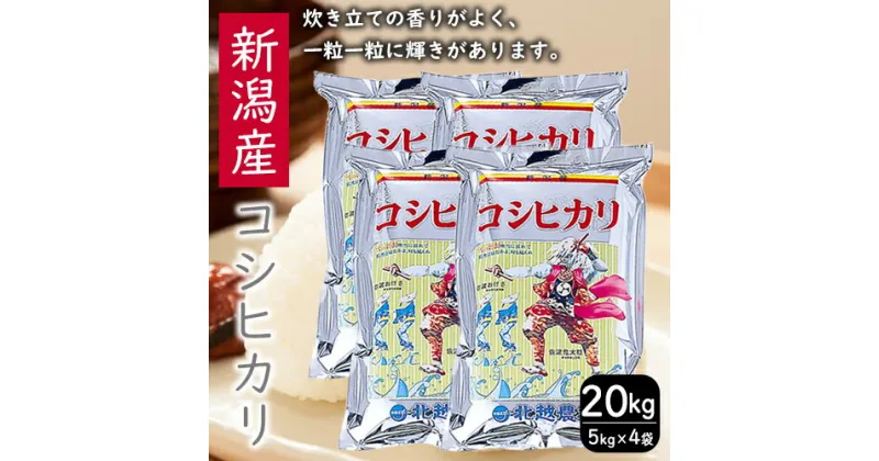 【ふるさと納税】こしひかり 新潟産 コシヒカリ 20kg 定期便 米 お米 こめ コメ ごはん 新潟 白米 コシヒカリ ブランド米 銘柄米 お取り寄せ 産地直送　お米・コシヒカリ　お届け：寄附確認後、随時発送