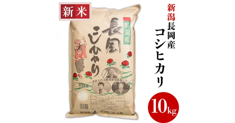 【ふるさと納税】米 10kg 白米 新潟こしひかり 令和6年 新米 73-6N101新潟長岡産コシヒカリ10kg