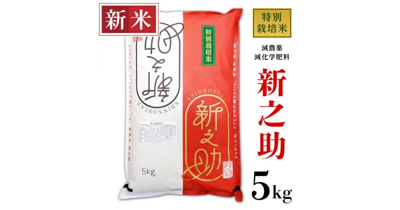 【ふるさと納税】米 5kg 白米 新之助 新潟 令和6年 新米 B7-S051新潟県長岡産新之助5kg（特別栽培米）