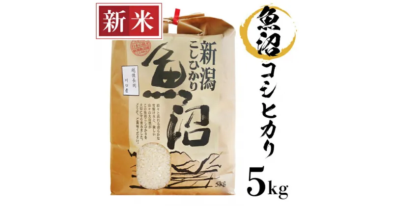 【ふるさと納税】米 5kg 白米 魚沼 新潟こしひかり 令和6年 新米 B7-K051新潟県魚沼産（長岡川口地域）コシヒカリ5kg