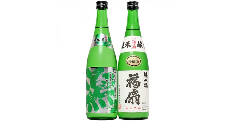 【ふるさと納税】日本酒 飲み比べ 新潟 C1-04河忠酒造飲み比べセット（720ml×2本）