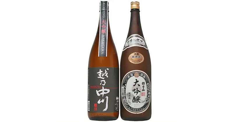 【ふるさと納税】日本酒 一升 飲み比べ 1.8L 新潟 C1-A9大吟醸飲み比べセット（1800ml×2本）