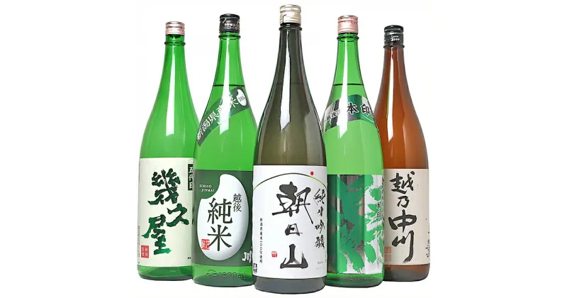 【ふるさと納税】日本酒 一升 飲み比べ 1.8L 新潟 C1-92越後銘門酒会 日本酒福袋（1800ml×5本）