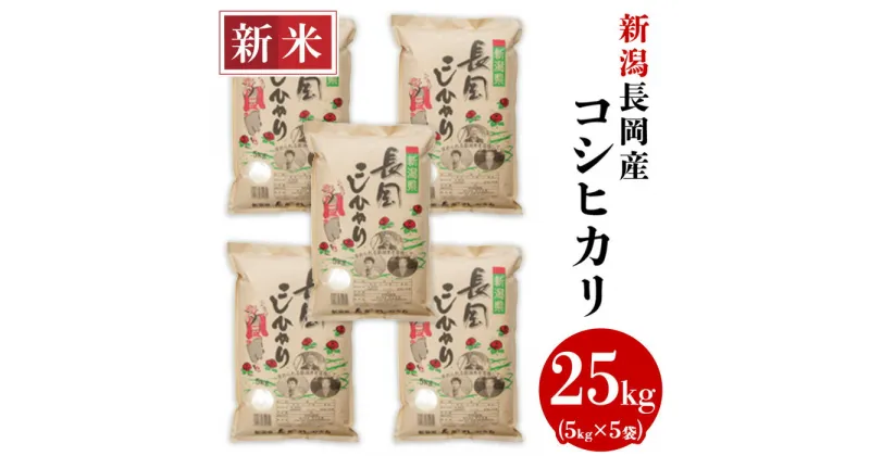 【ふるさと納税】米 白米 コシヒカリ 新潟 令和6年 新米 73-6N251新潟長岡産コシヒカリ25kg（5kg×5袋）