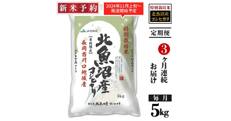 【ふるさと納税】米 定期便 5kg 白米 魚沼 新潟こしひかり 令和6年 新米 AT05-3【3ヶ月連続お届け】北魚沼産コシヒカリ特別栽培米5kg（長岡川口地域）