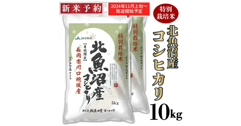 【ふるさと納税】米 10kg 白米 魚沼 新潟こしひかり 令和6年 新米 AS10-1北魚沼産コシヒカリ特別栽培米10kg（長岡川口地域）