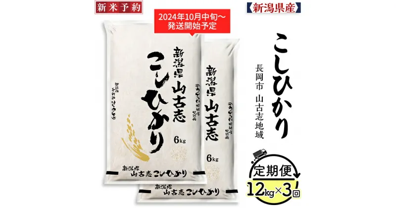 【ふるさと納税】米 定期便 白米 コシヒカリ 新潟 令和6年 新米 75-AY123【3ヶ月連続お届け】新潟県長岡産コシヒカリ山古志地域棚田米12kg