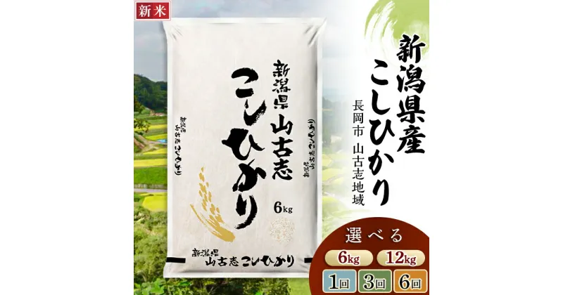 【ふるさと納税】米 定期便 6kg 12kg 新潟 コシヒカリ 精米 白米 お米 選べる 1回 3回 6回 3ヶ月 6ヶ月 新潟こしひかり 新潟県長岡産コシヒカリ山古志地域棚田米