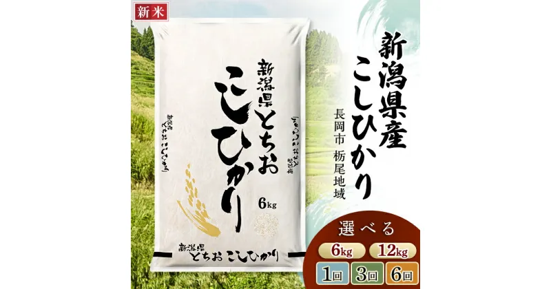 【ふるさと納税】米 定期便 6kg 12kg 新潟 コシヒカリ 精米 白米 お米 選べる 1回 3回 6回 3ヶ月 6ヶ月 新潟こしひかり 新潟県長岡産コシヒカリ（栃尾地域）