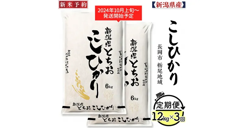 【ふるさと納税】米 定期便 白米 コシヒカリ 新潟 令和6年 新米 75-AT123【3ヶ月連続お届け】新潟県長岡産コシヒカリ（栃尾地域）12kg