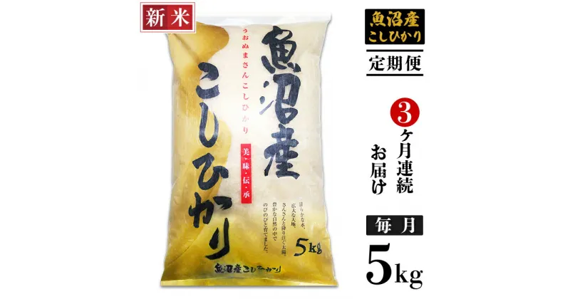 【ふるさと納税】米 定期便 5kg 白米 魚沼 新潟こしひかり 令和6年 新米 C2-6K053B【3ヶ月連続お届け】新潟県魚沼産コシヒカリ5kg（長岡川口地域）