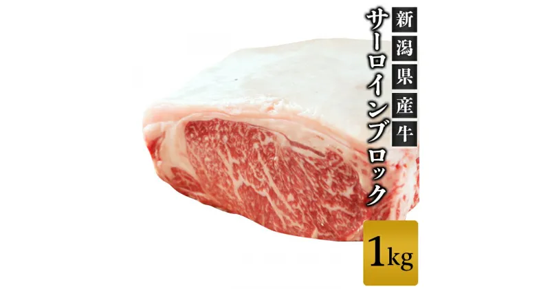 【ふるさと納税】牛肉 ブロック 76-69A新潟県産牛（長岡産）サーロイン1kgブロック