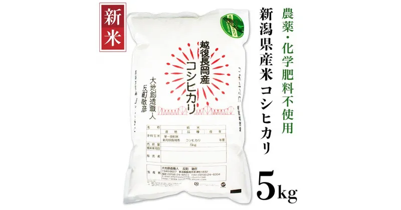 【ふるさと納税】米 5kg コシヒカリ 白米 新潟 令和6年 新米 E1-S051新潟県産米コシヒカリ5kg