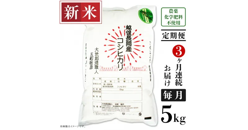 【ふるさと納税】米 定期便 5kg 白米 コシヒカリ 新潟 令和6年 新米 E1-S053【3ヶ月連続お届け】新潟県産米コシヒカリ5kg