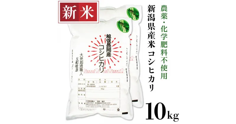 【ふるさと納税】米 10kg 白米 コシヒカリ 新潟 令和6年 新米 E1-S101新潟県産米コシヒカリ10kg