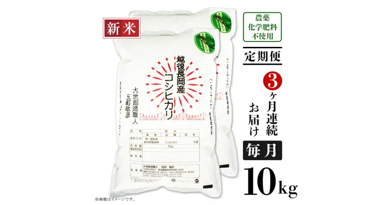 【ふるさと納税】米 定期便 10kg 白米 コシヒカリ 新潟 令和6年 新米 E1-S103【3ヶ月連続お届け】新潟県産米コシヒカリ10kg