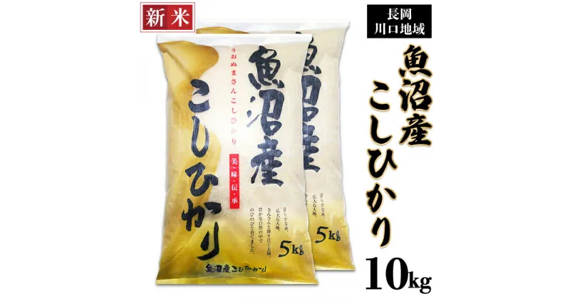 【ふるさと納税】米 10kg 白米 魚沼 新潟こしひかり 令和6年 新米 C2-6K101B新潟県魚沼産コシヒカリ（長岡川口地域）10kg（5kg×2袋）