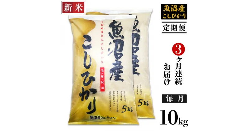 【ふるさと納税】米 定期便 10kg 白米 魚沼 新潟こしひかり 令和6年 新米 C2-6K103B【3ヶ月連続お届け】新潟県魚沼産コシヒカリ10kg（5kg×2袋）（長岡川口地域）