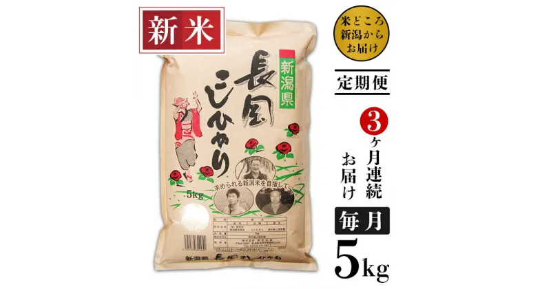 【ふるさと納税】米 定期便 5kg 白米 新潟こしひかり 令和6年 新米 73-6N053【3ヶ月連続お届け】新潟県長岡産コシヒカリ5kg