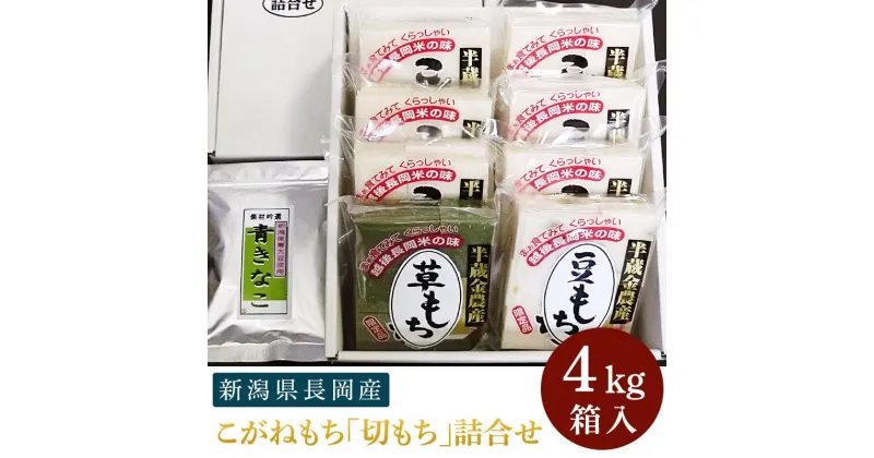 【ふるさと納税】餅 もち 切もち 切り餅 新潟 F6-12新潟県長岡産こがねもち「切もち」4kg詰合せ箱入り