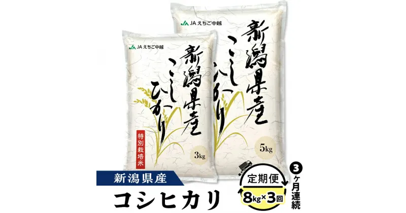 【ふるさと納税】米 定期便 白米 コシヒカリ 新潟 令和6年 75-BN083【3ヶ月連続お届け】新潟県長岡産コシヒカリ8kg（特別栽培米）【2025年1月中旬～下旬発送開始】