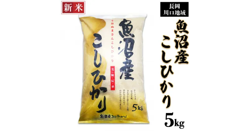 【ふるさと納税】米 5kg 白米 魚沼 新潟こしひかり 令和6年 新米 C2-6K051B新潟県魚沼産コシヒカリ（長岡川口地域）5kg