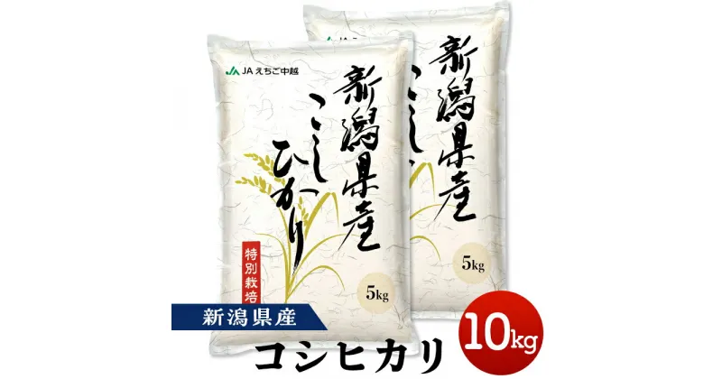 【ふるさと納税】米 10kg 白米 新潟こしひかり 令和6年 75-BN101新潟県長岡産特別栽培米コシヒカリ10kg（5kg×2）【2025年1月中旬～下旬発送】