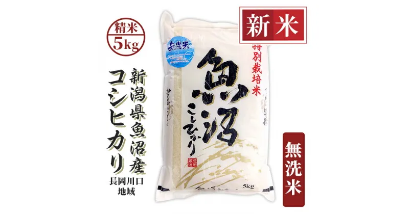 【ふるさと納税】米 無洗米 5kg 白米 コシヒカリ 魚沼 新潟 令和6年 新米 H0-6M051A新潟県魚沼産コシヒカリ（長岡川口地域）無洗米5kg