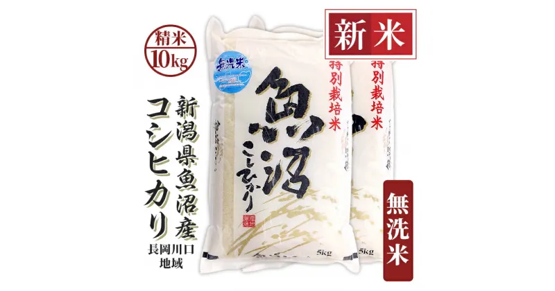 【ふるさと納税】米 無洗米 10kg 白米 コシヒカリ 魚沼 新潟 令和6年 新米 H0-6M101A新潟県魚沼産コシヒカリ（長岡川口地域）無洗米10kg（5kg×2袋）