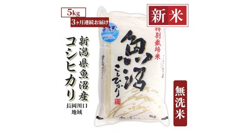 【ふるさと納税】米 無洗米 定期便 5kg 白米 コシヒカリ 魚沼 新潟 令和6年 新米 H0-6M053A【3ヶ月連続お届け】新潟県魚沼産コシヒカリ（長岡川口地域）無洗米5kg