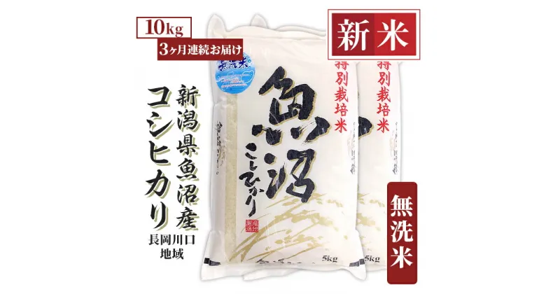 【ふるさと納税】米 無洗米 定期便 10kg 白米 コシヒカリ 魚沼 新潟 令和6年 新米 H0-6M103A【3ヶ月連続お届け】新潟県魚沼産コシヒカリ（長岡川口地域）無洗米10kg（5kg×2袋）