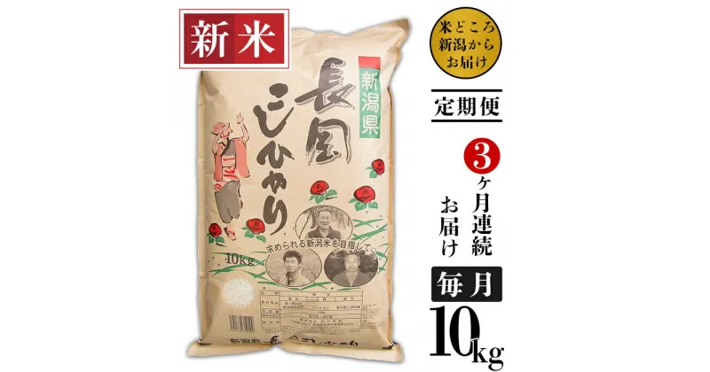 【ふるさと納税】米 定期便 10kg 白米 新潟こしひかり 令和6年 新米 73-6N103【3ヶ月連続お届け】新潟県長岡産コシヒカリ10kg