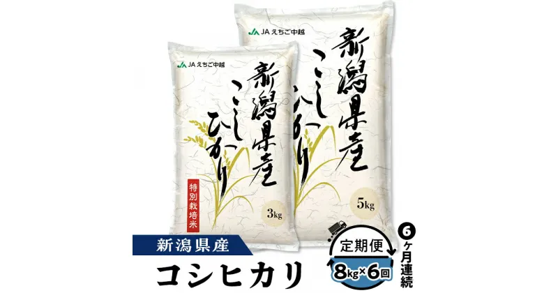 【ふるさと納税】米 定期便 6ヶ月 白米 コシヒカリ 新潟 令和6年 75-BN086【6ヶ月連続お届け】新潟県長岡産コシヒカリ8kg（特別栽培米）【2025年1月中旬～下旬発送開始】