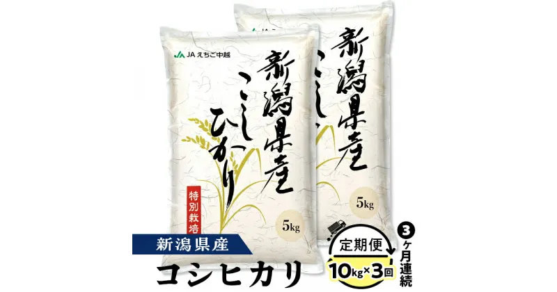 【ふるさと納税】米 定期便 10kg 白米 新潟こしひかり 令和6年 75-BN103【3ヶ月連続お届け】新潟県長岡産コシヒカリ10kg（特別栽培米）【2025年1月中旬～下旬発送開始】