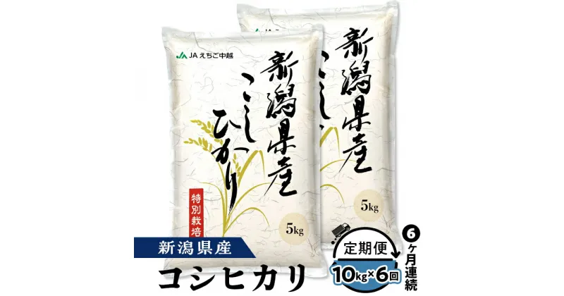 【ふるさと納税】米 定期便 10kg 6ヶ月 白米 新潟こしひかり 令和6年 75-BN106【6ヶ月連続お届け】新潟県長岡産コシヒカリ10kg（特別栽培米）【2025年1月中旬～下旬発送開始】