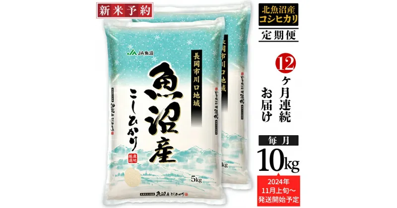 【ふるさと納税】米 定期便 10kg 12ヶ月 白米 魚沼 新潟こしひかり 令和6年 新米 AK10-Z【12ヶ月連続お届け】北魚沼産コシヒカリ（長岡川口地域）10kg