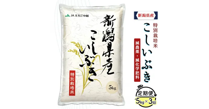 【ふるさと納税】米 定期便 5kg 白米 新潟 令和6年 75-BK053【3ヶ月連続お届け】新潟県長岡産特別栽培米こしいぶき5kg【2025年1月中旬～下旬発送開始】