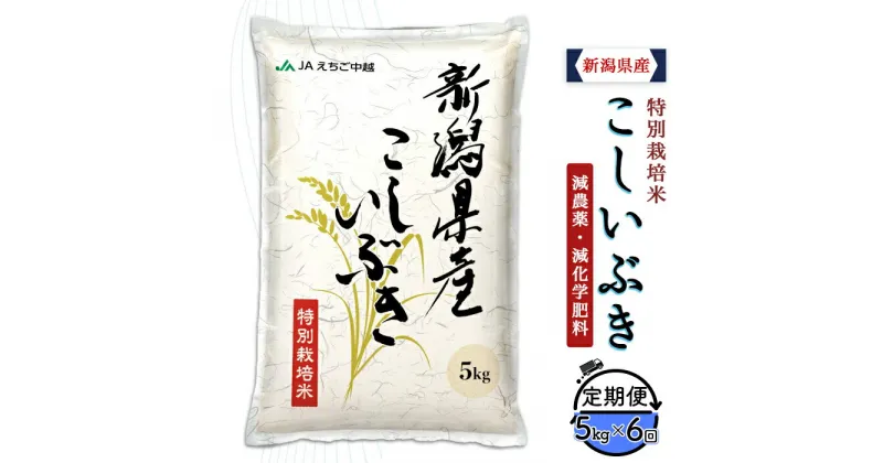 【ふるさと納税】米 定期便 5kg 6ヶ月 白米 新潟 令和6年 75-BK056【6ヶ月連続お届け】新潟県長岡産特別栽培米こしいぶき5kg【2025年1月中旬～下旬発送開始】