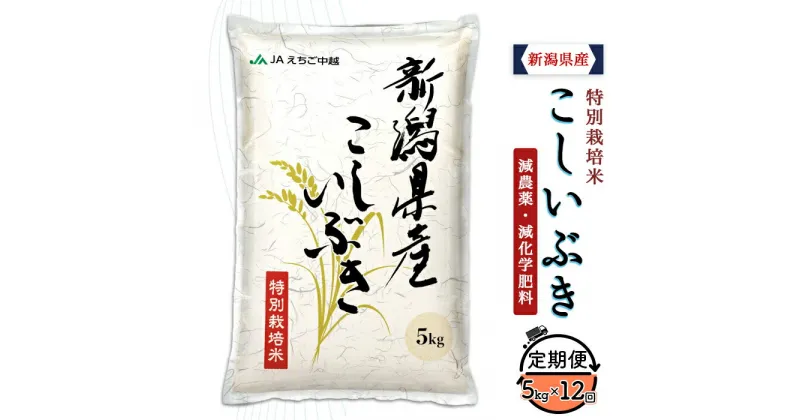 【ふるさと納税】米 定期便 5kg 12ヶ月 白米 新潟 令和6年 75-BK05Z【12ヶ月連続お届け】新潟県長岡産特別栽培米こしいぶき5kg【2025年1月中旬～下旬発送開始】