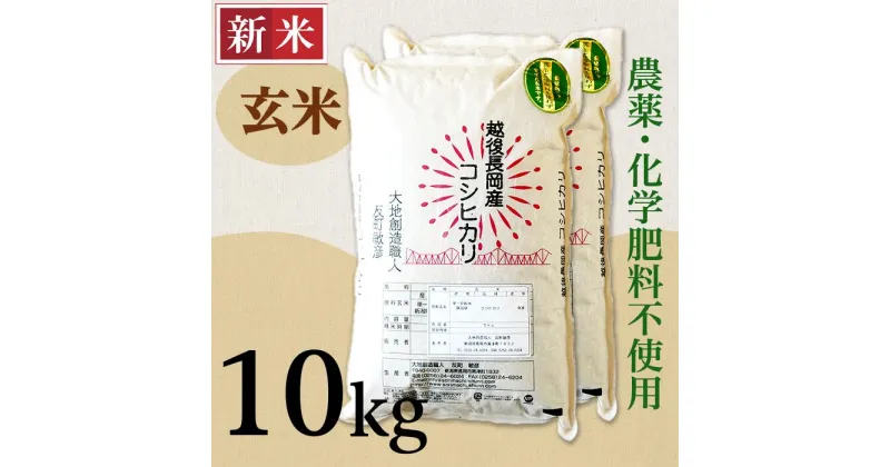 【ふるさと納税】米 10kg 玄米 コシヒカリ 新潟 令和6年 新米 E1-G101新潟県長岡産コシヒカリ玄米10kg