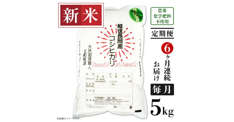 【ふるさと納税】米 定期便 5kg 6ヶ月 白米 コシヒカリ 新潟 令和6年 新米 E1-S056【6ヶ月連続お届け】新潟県長岡産コシヒカリ5kg