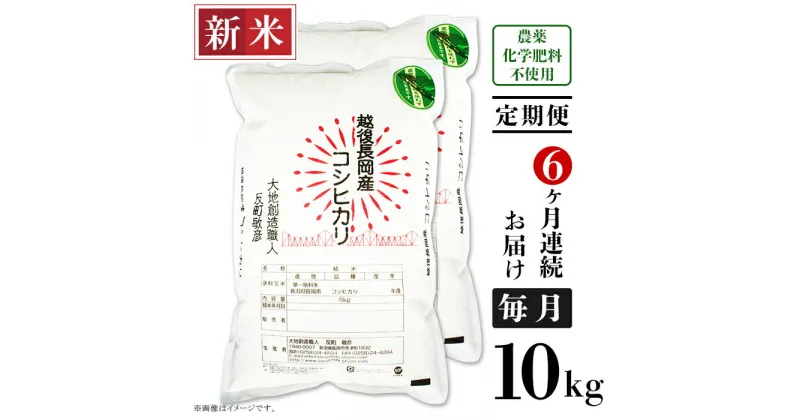 【ふるさと納税】米 定期便 10kg 6ヶ月 白米 コシヒカリ 新潟 令和6年 新米 E1-S106【6ヶ月連続お届け】新潟県長岡産コシヒカリ10kg